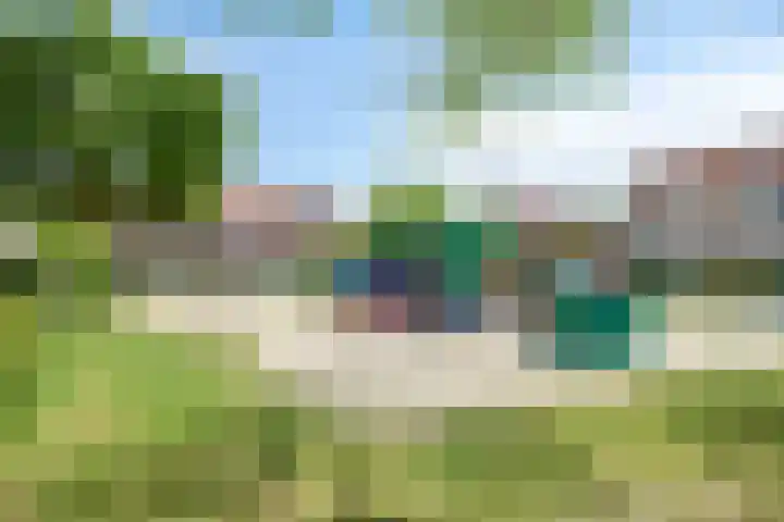 Pijlkruid 26 Kampen thumbnail 40