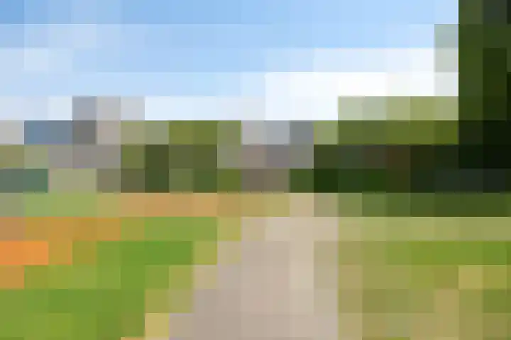 Pijlkruid 26 Kampen thumbnail 41