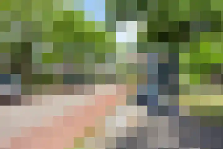 Pijlkruid 26 Kampen thumbnail 42