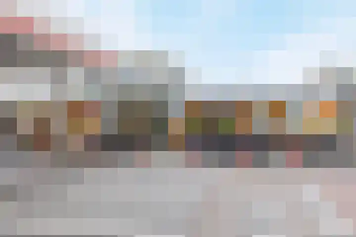 Pijlkruid 26 Kampen thumbnail 43