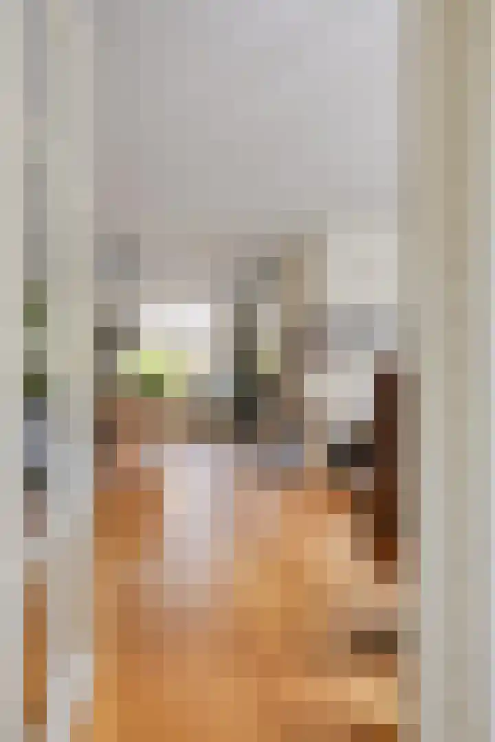 Pijlkruid 26 Kampen thumbnail 6