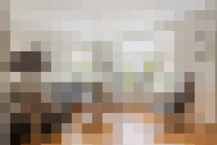 Pijlkruid 26 Kampen thumbnail 7