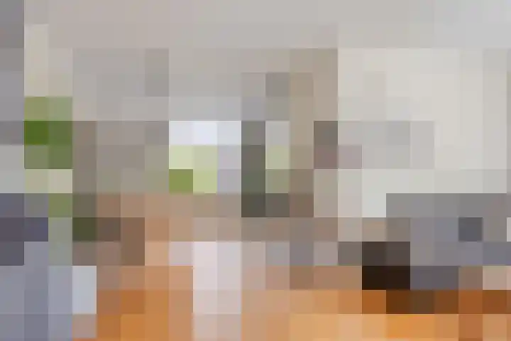 Pijlkruid 26 Kampen thumbnail 8