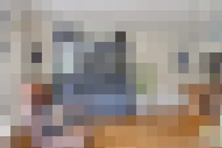 Pijlkruid 26 Kampen thumbnail 9