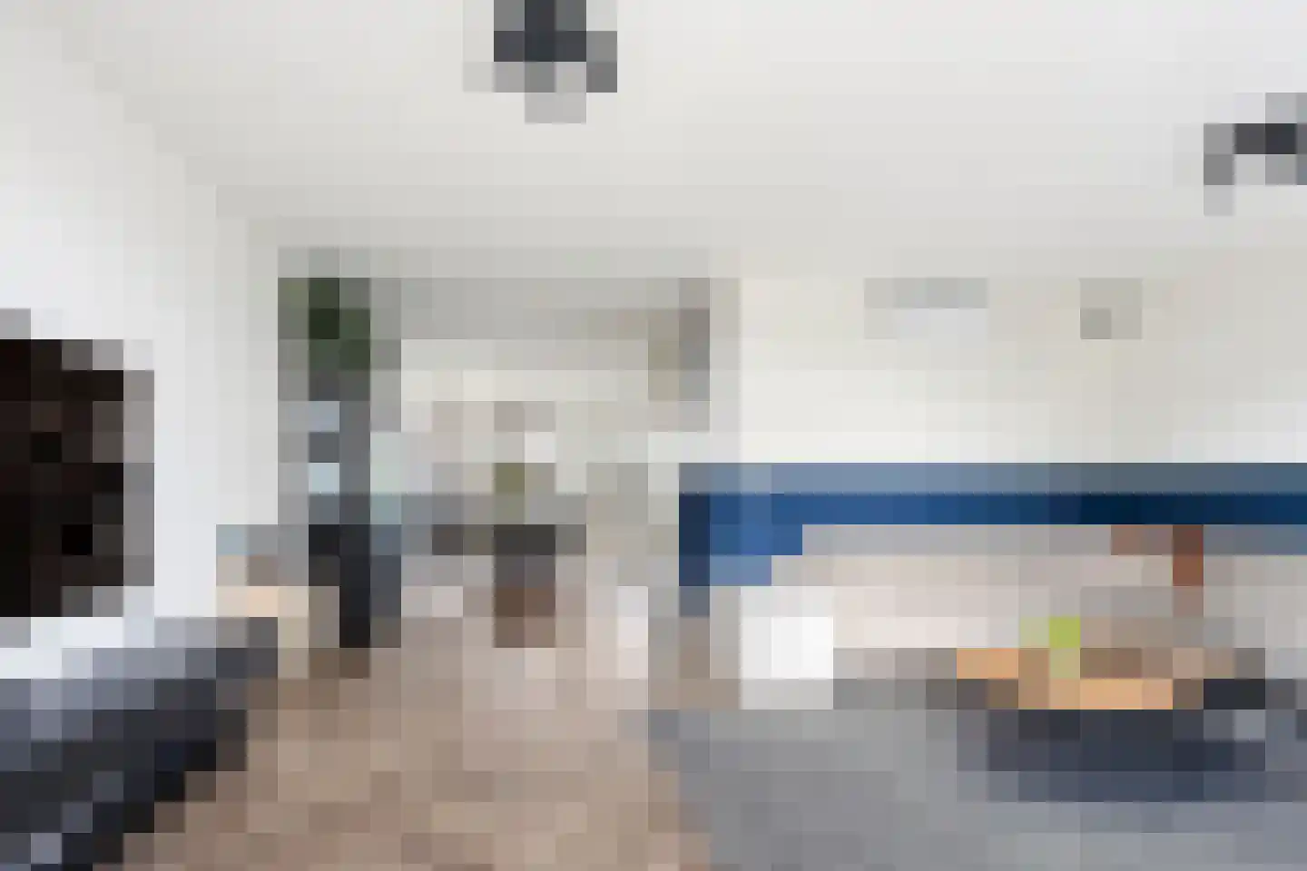 Pijlkruid 29 Velserbroek thumbnail 14