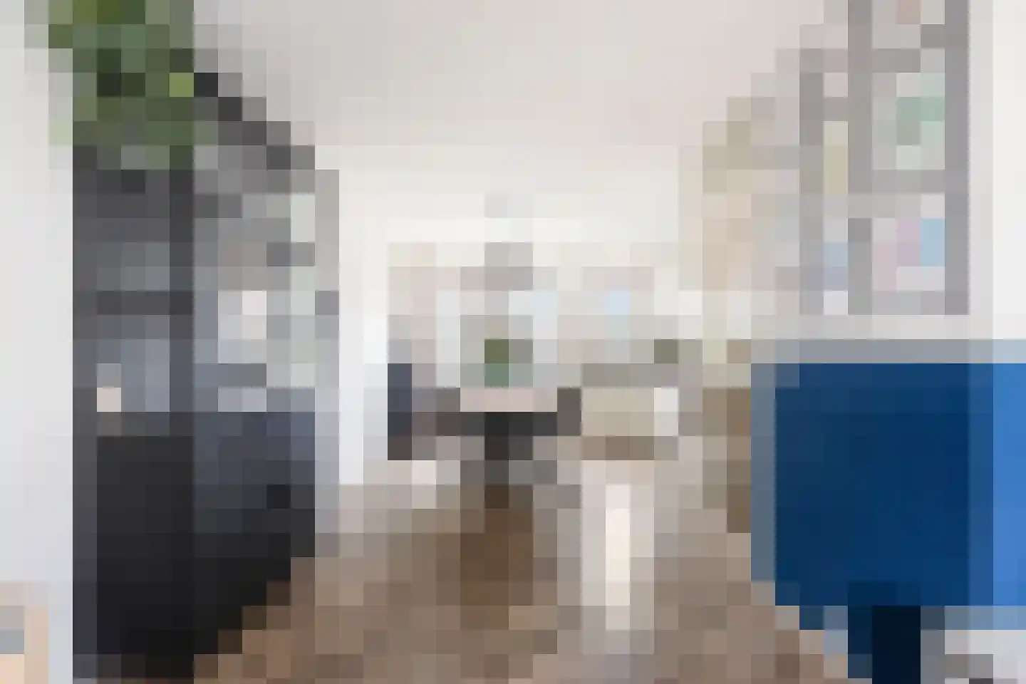 Pijlkruid 29 Velserbroek thumbnail 15