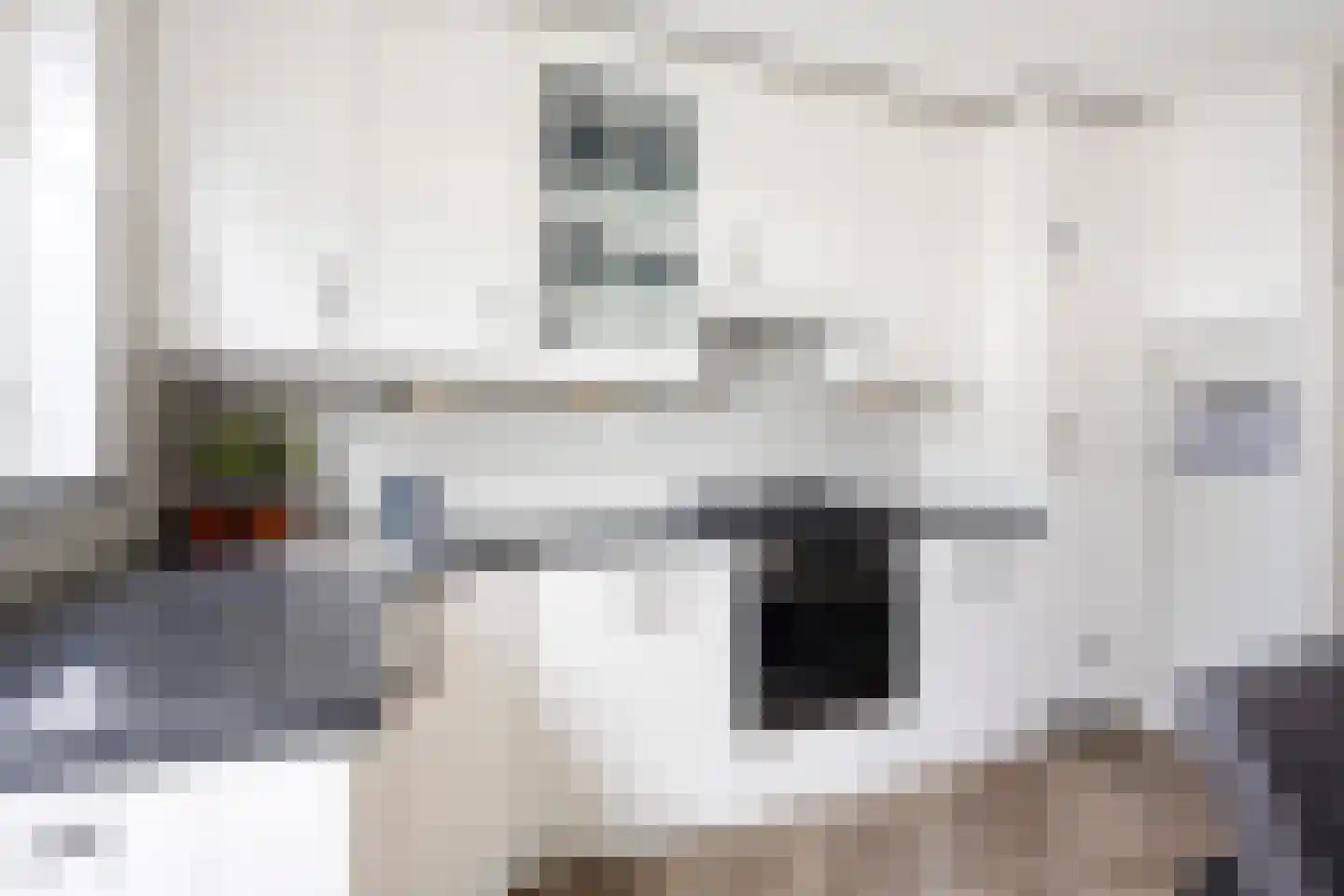 Pijlkruid 29 Velserbroek thumbnail 18