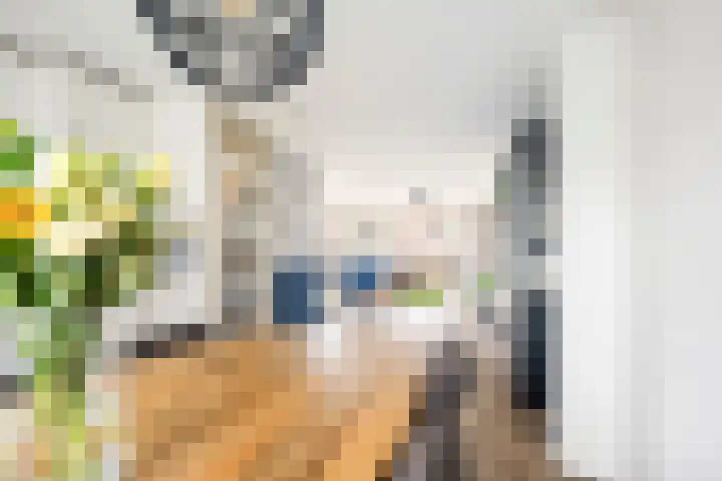 Pijlkruid 29 Velserbroek thumbnail 19