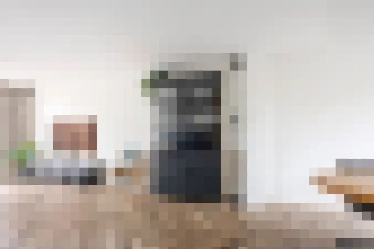 Pijlkruid 29 Velserbroek thumbnail 21