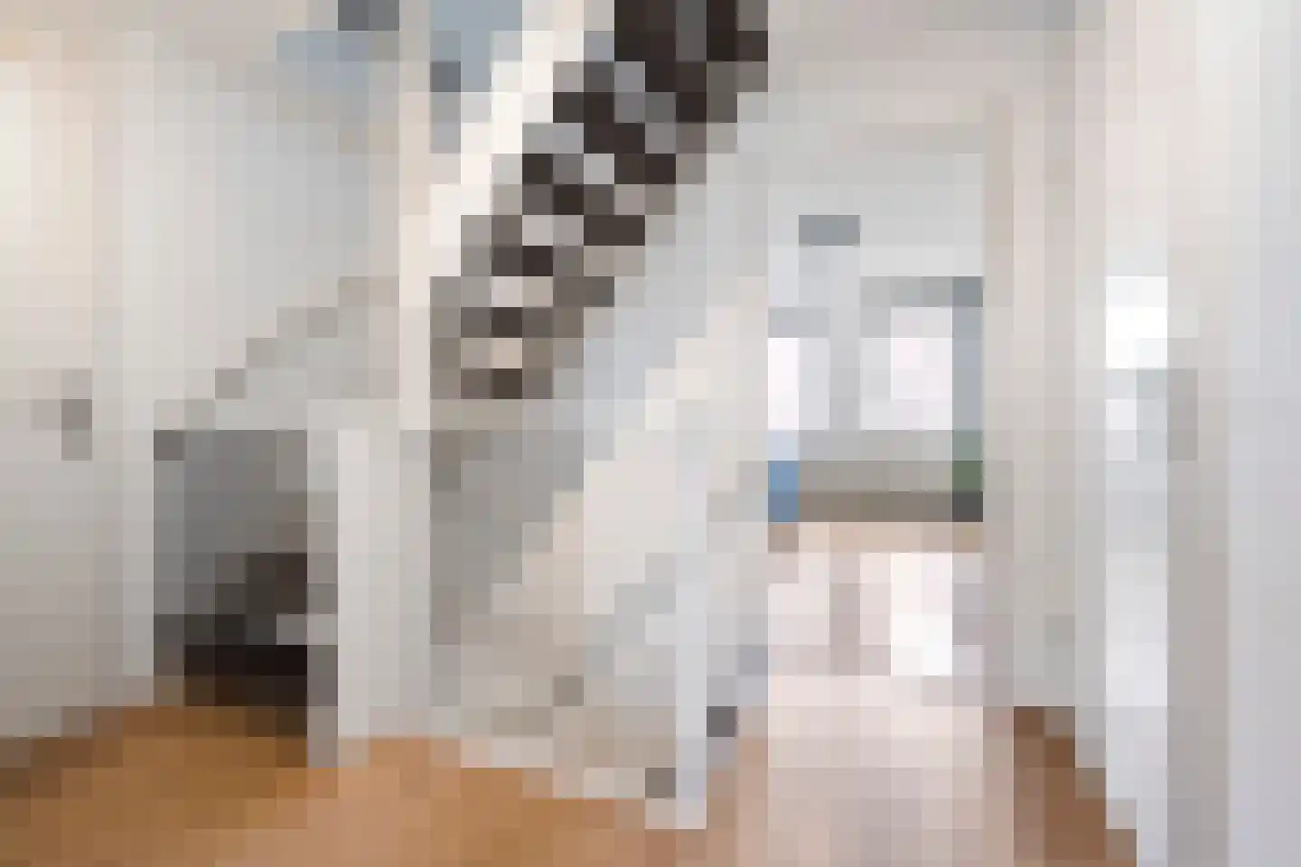 Pijlkruid 29 Velserbroek thumbnail 25