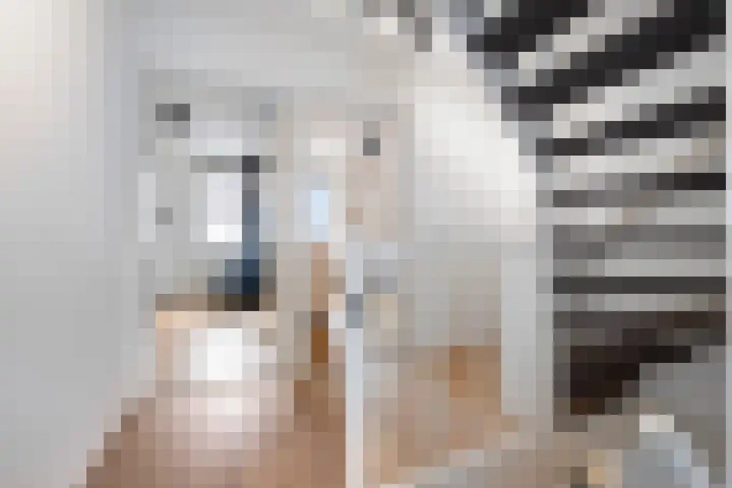 Pijlkruid 29 Velserbroek thumbnail 26