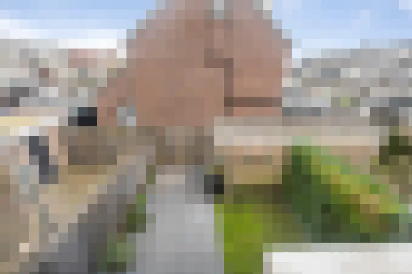 Pijlkruid 29 Velserbroek thumbnail 29