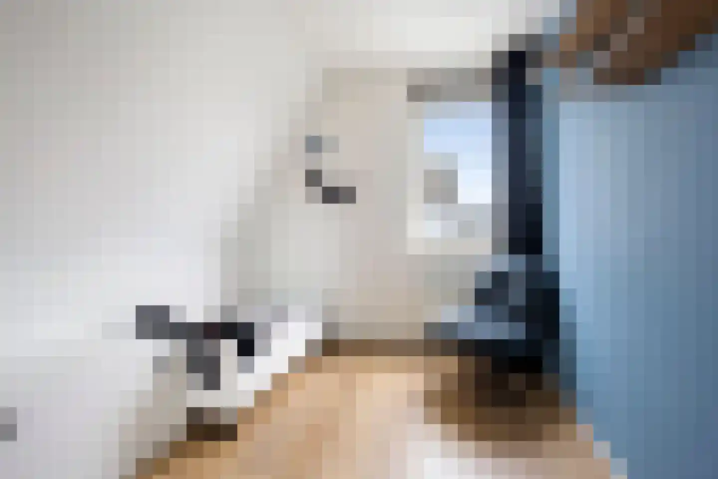 Pijlkruid 29 Velserbroek thumbnail 31