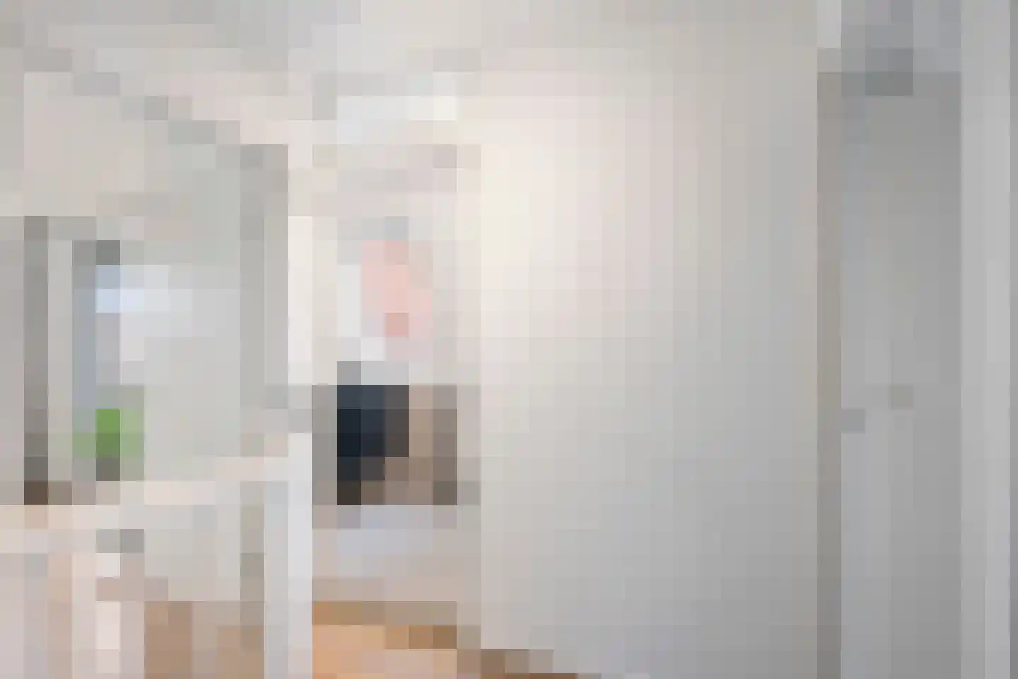 Pijlkruid 29 Velserbroek thumbnail 33