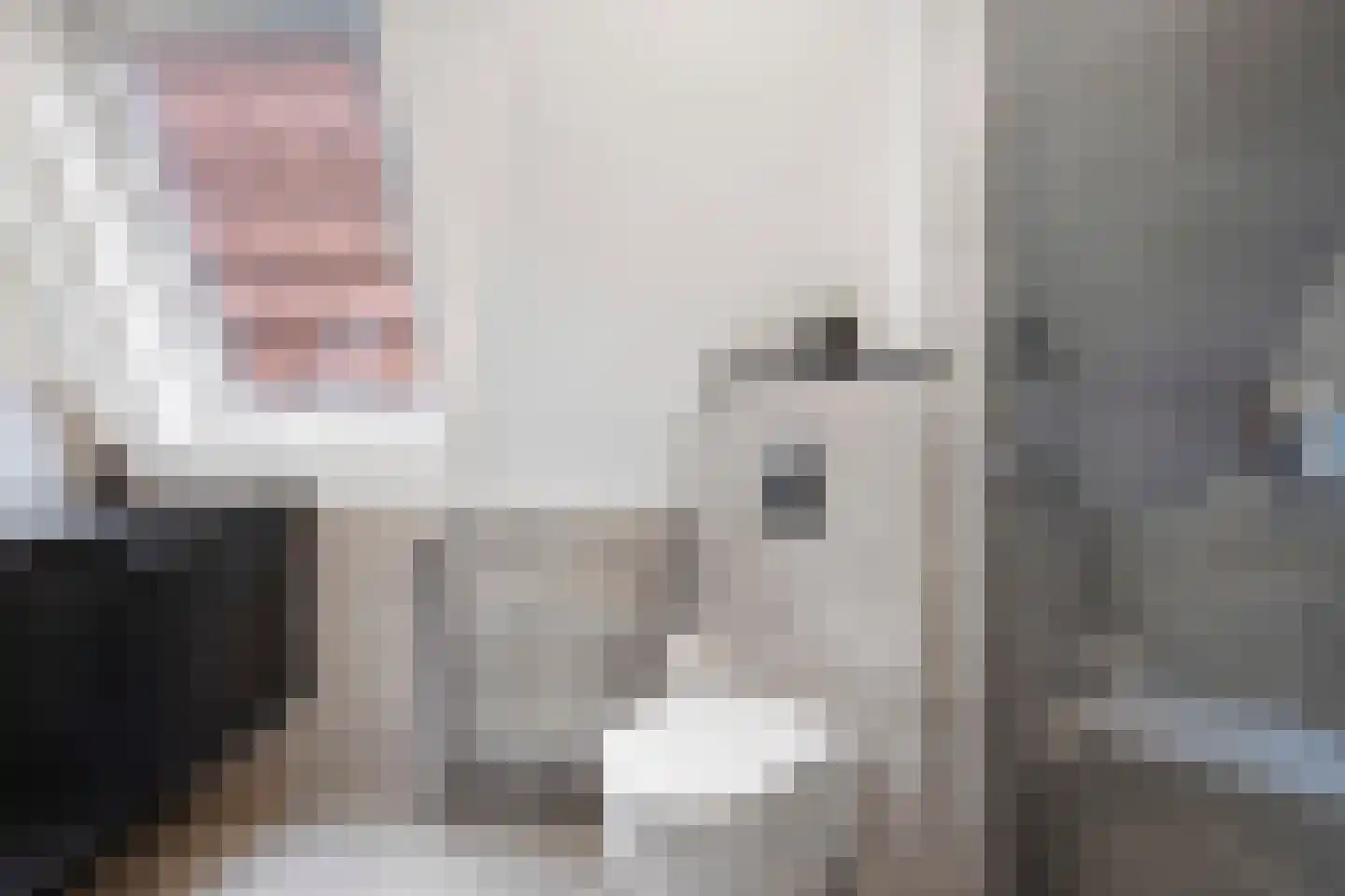 Pijlkruid 29 Velserbroek thumbnail 34