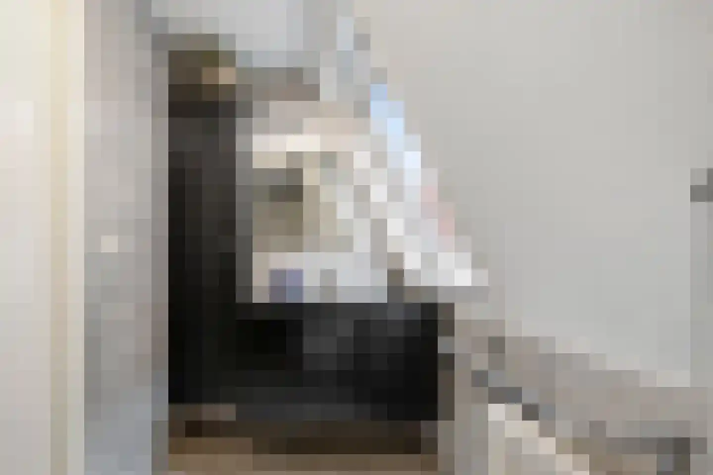 Pijlkruid 29 Velserbroek thumbnail 35