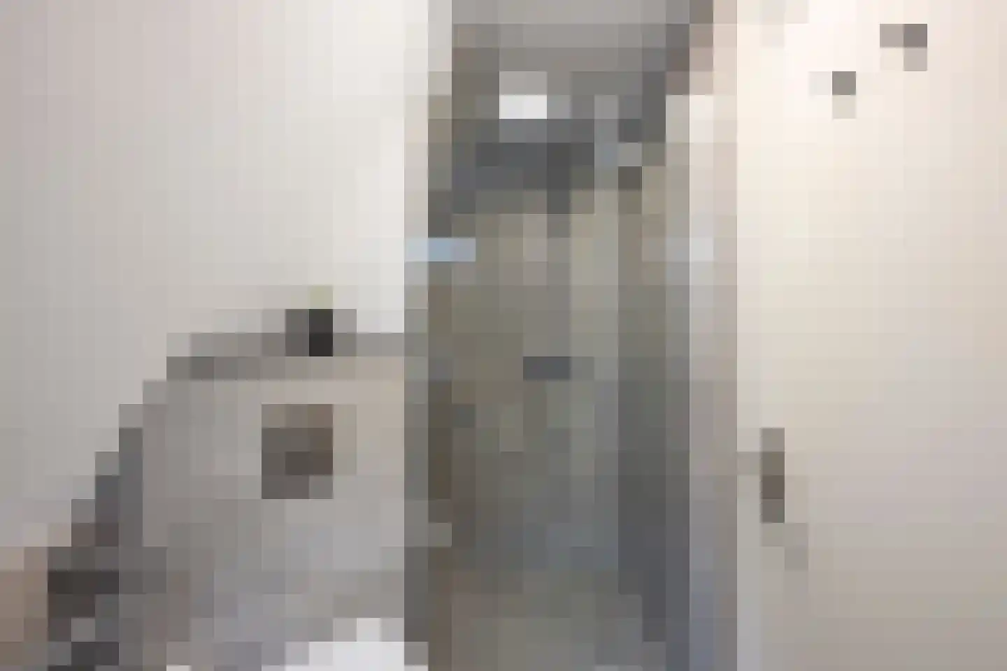 Pijlkruid 29 Velserbroek thumbnail 36
