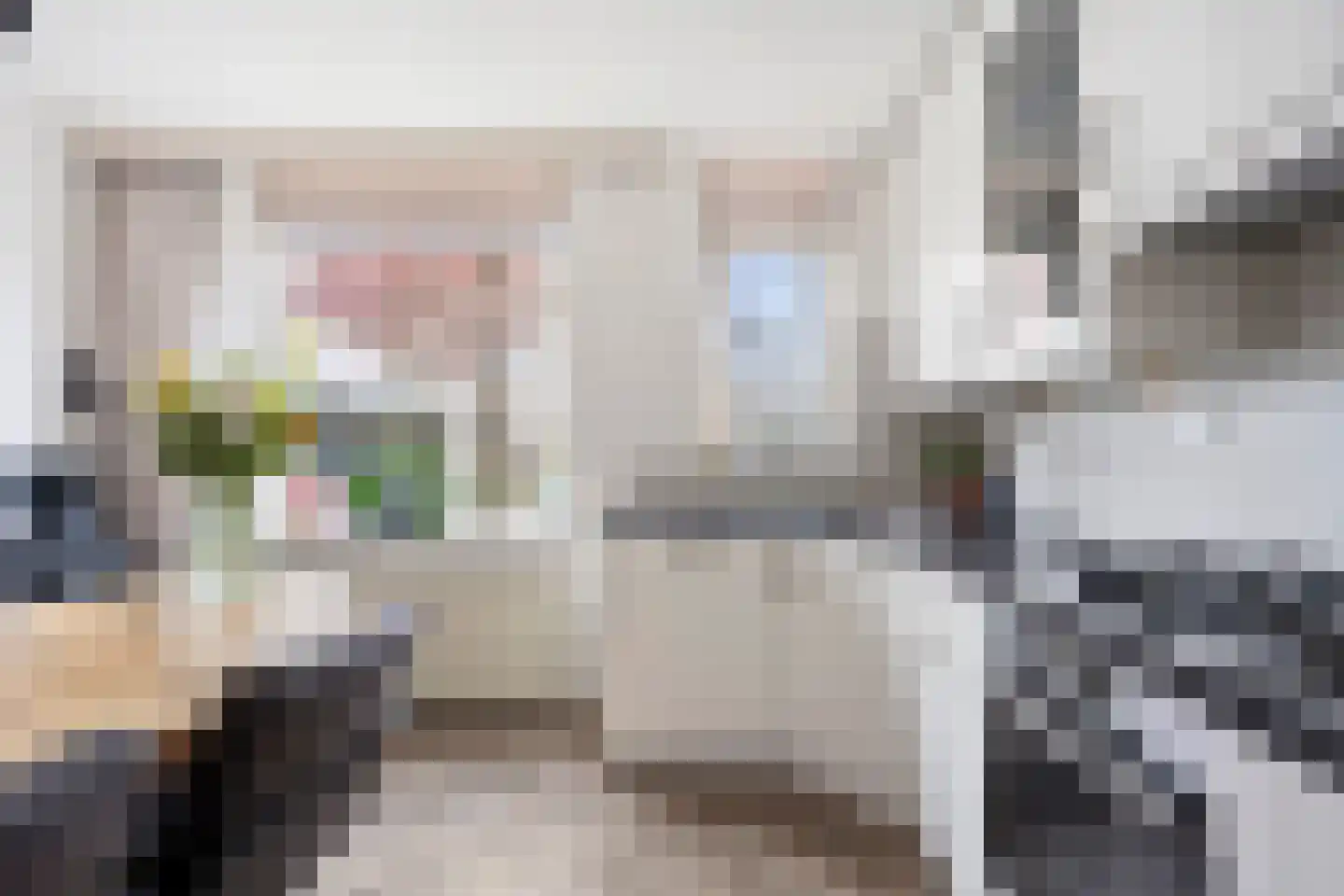 Pijlkruid 29 Velserbroek thumbnail 4