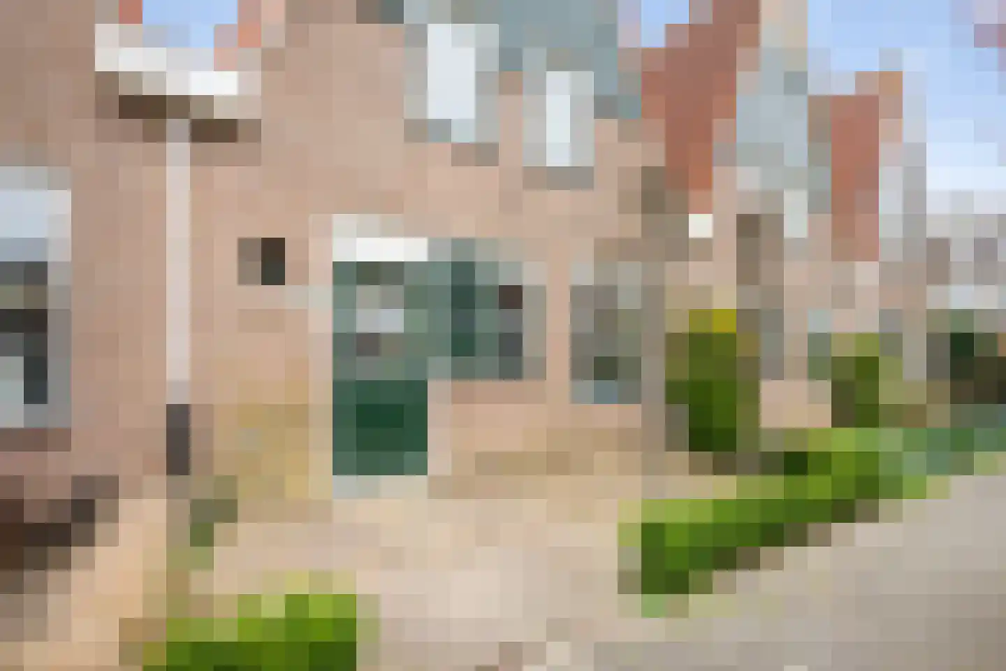 Pijlkruid 29 Velserbroek thumbnail 47