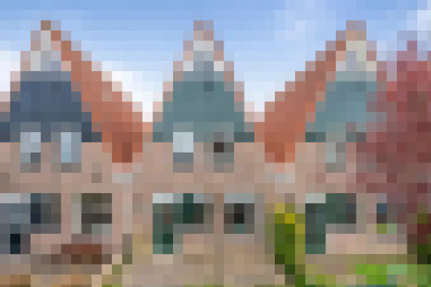 Pijlkruid 29 Velserbroek thumbnail 50