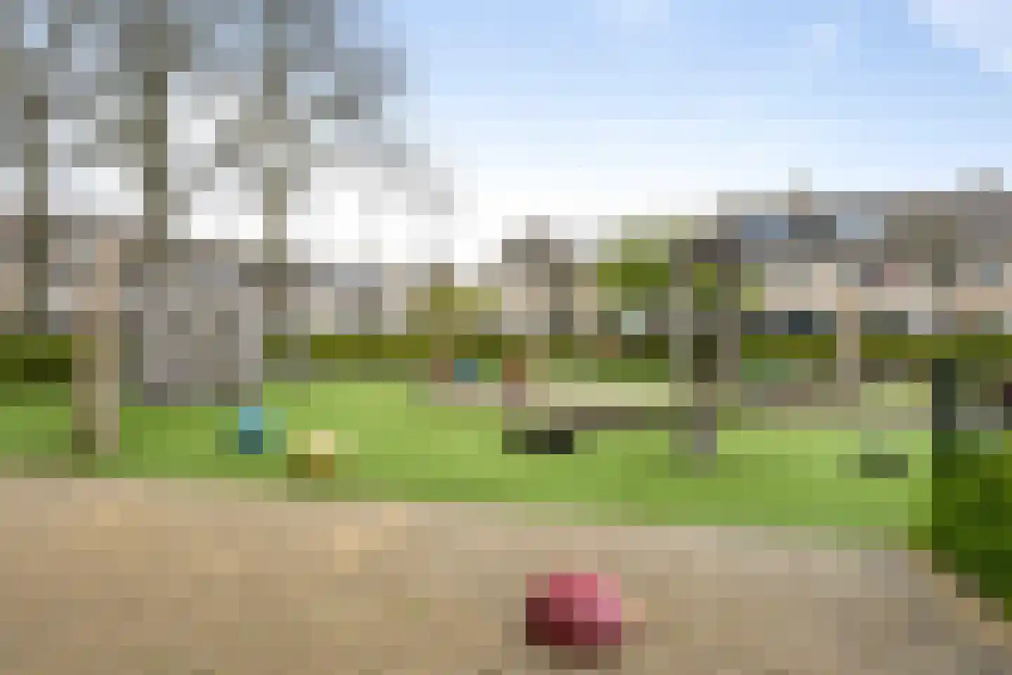 Pijlkruid 29 Velserbroek thumbnail 51