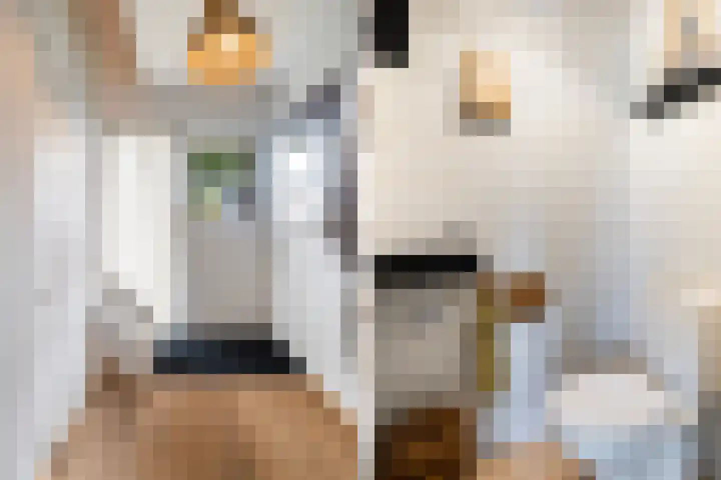 Pijlkruid 3 Buitenpost thumbnail 11