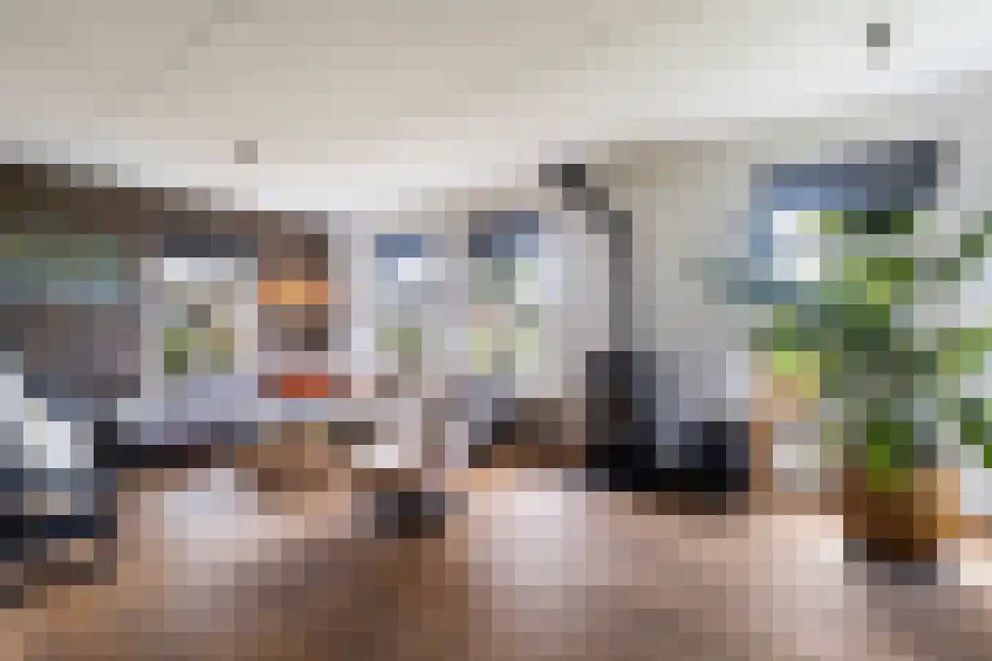Pijlkruid 3 Buitenpost thumbnail 13