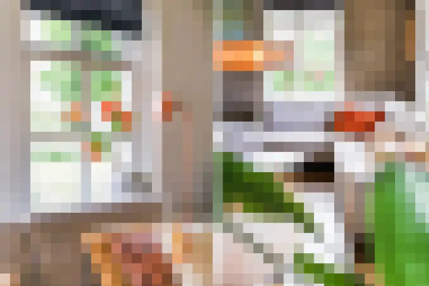 Pijlkruid 3 Buitenpost thumbnail 16