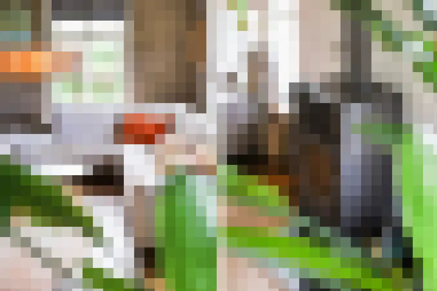 Pijlkruid 3 Buitenpost thumbnail 18