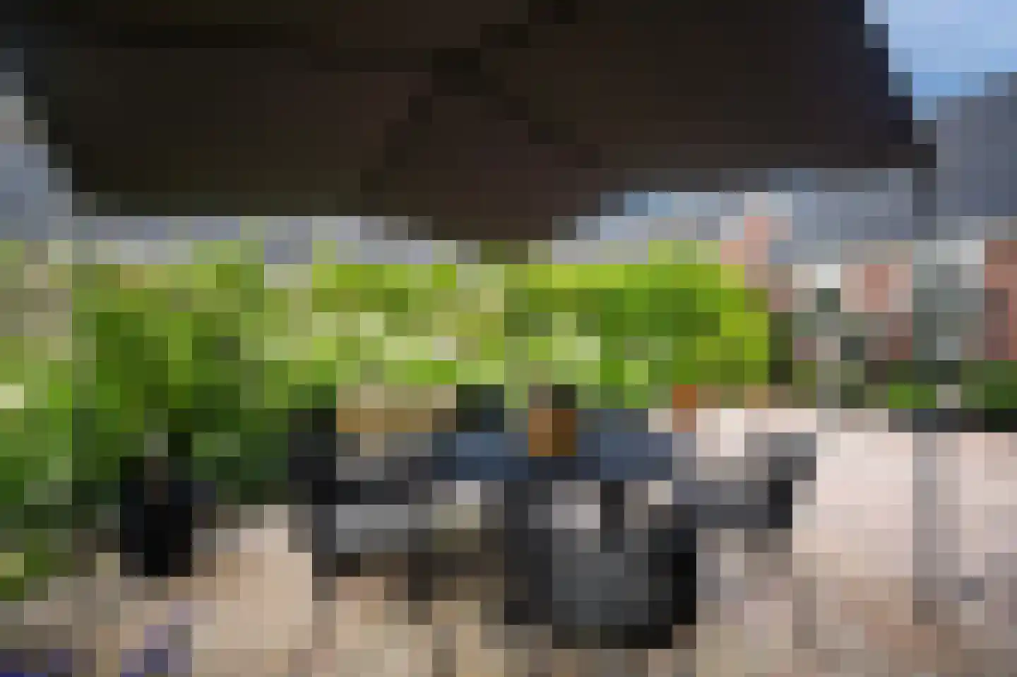 Pijlkruid 3 Buitenpost thumbnail 23