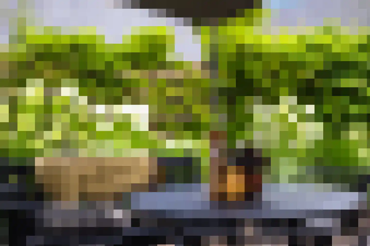 Pijlkruid 3 Buitenpost thumbnail 24