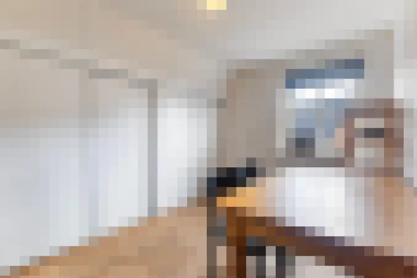 Pijlkruid 3 Buitenpost thumbnail 29