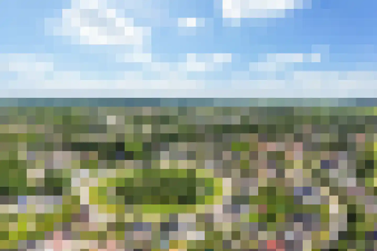 Pijlkruid 3 Buitenpost foto 3