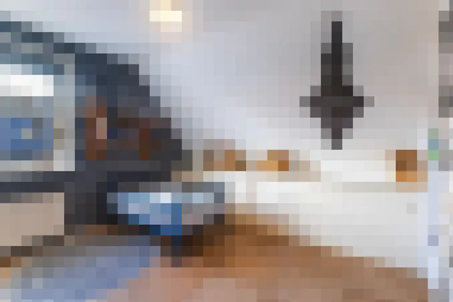 Pijlkruid 3 Buitenpost thumbnail 31