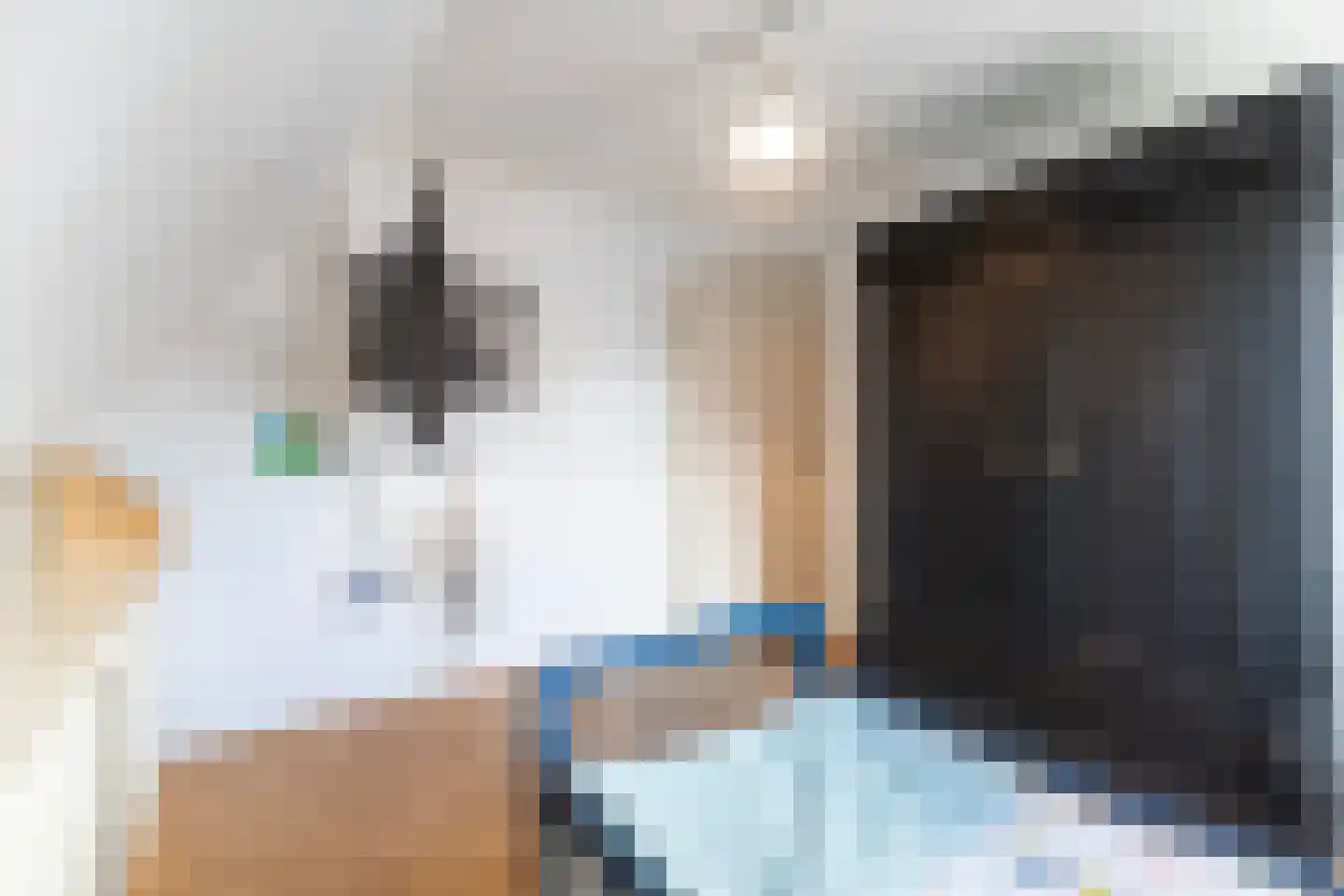 Pijlkruid 3 Buitenpost thumbnail 32