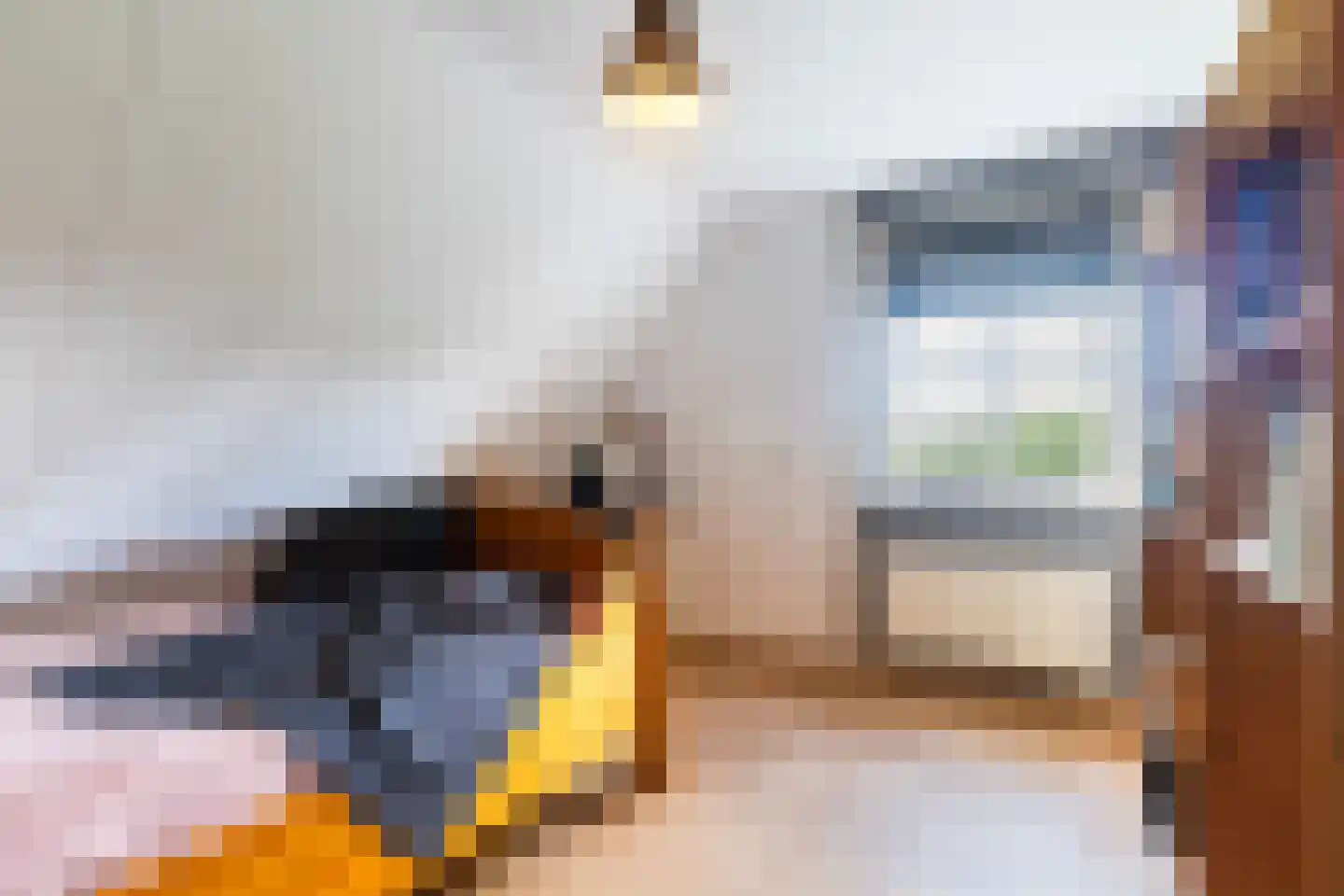 Pijlkruid 3 Buitenpost thumbnail 35