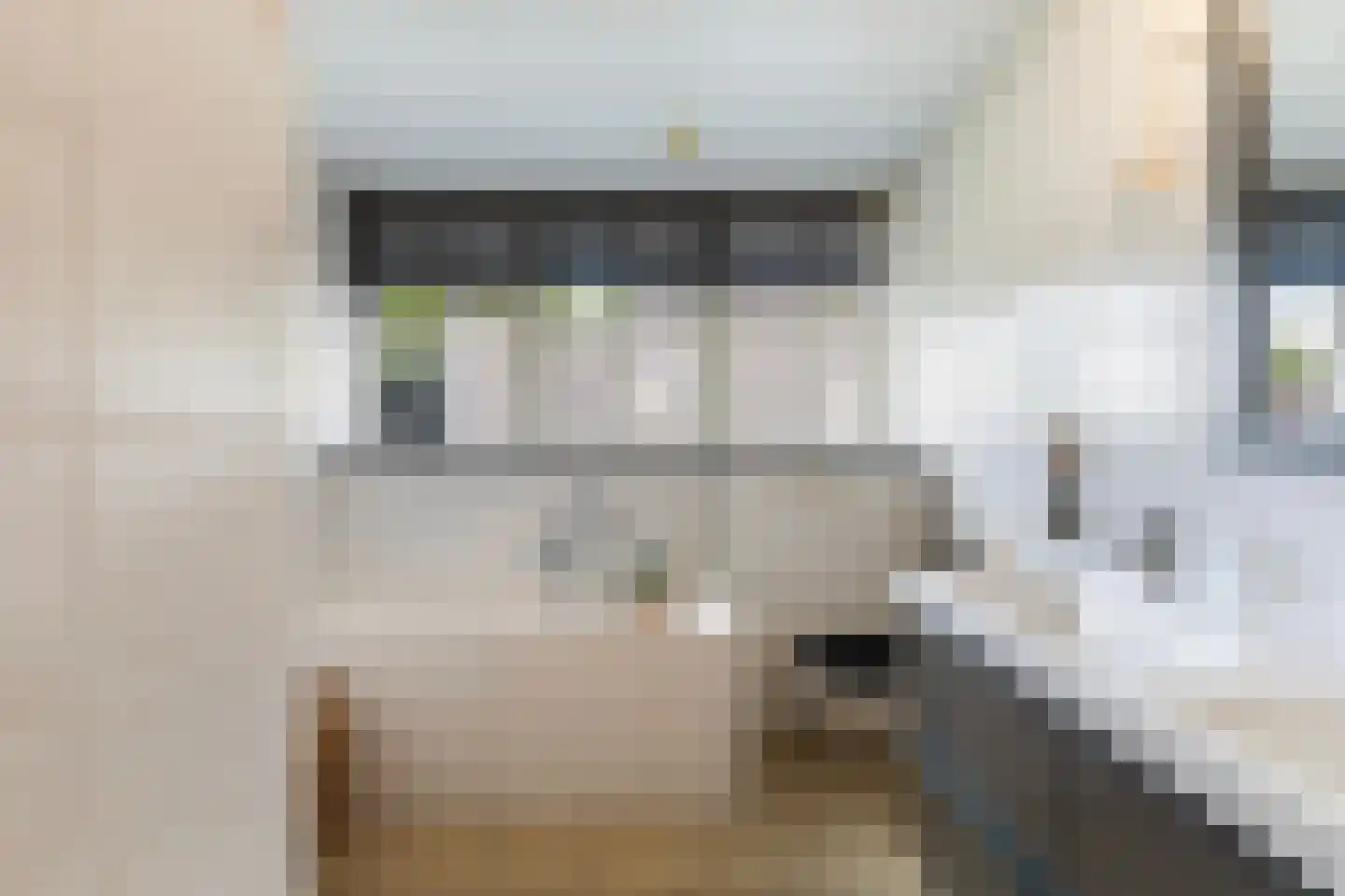 Pijlkruid 3 Buitenpost thumbnail 37