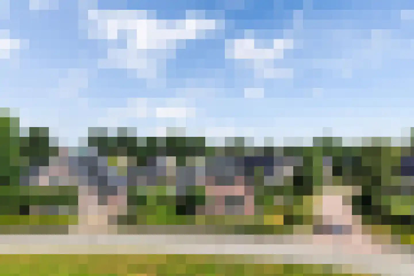 Pijlkruid 3 Buitenpost thumbnail 4