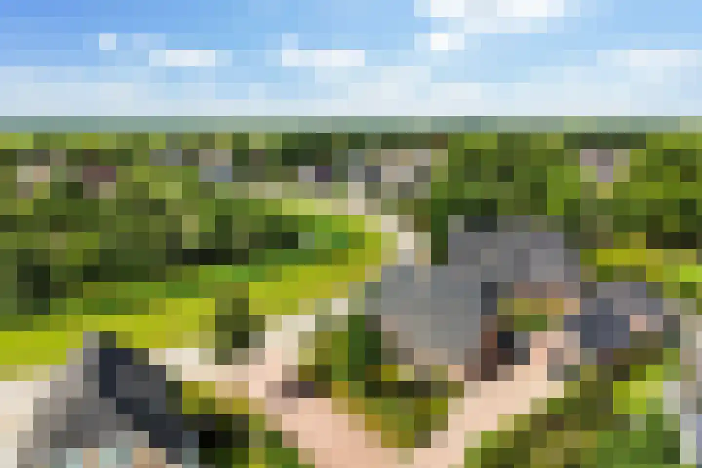 Pijlkruid 3 Buitenpost thumbnail 42