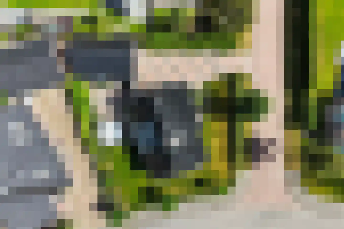 Pijlkruid 3 Buitenpost thumbnail 43