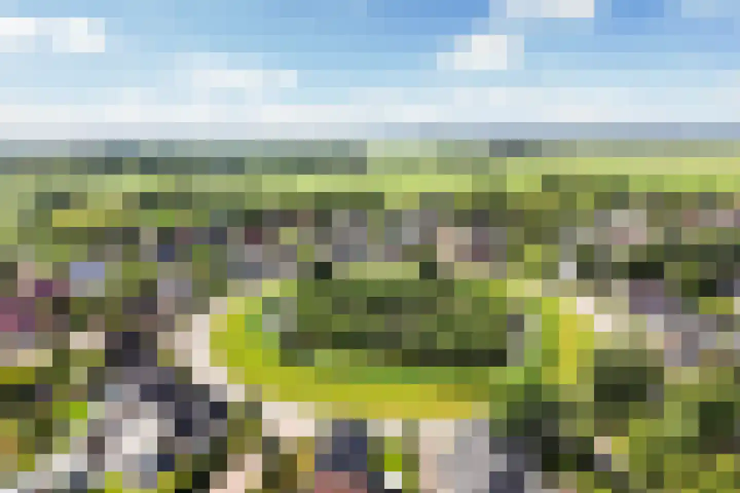 Pijlkruid 3 Buitenpost thumbnail 44