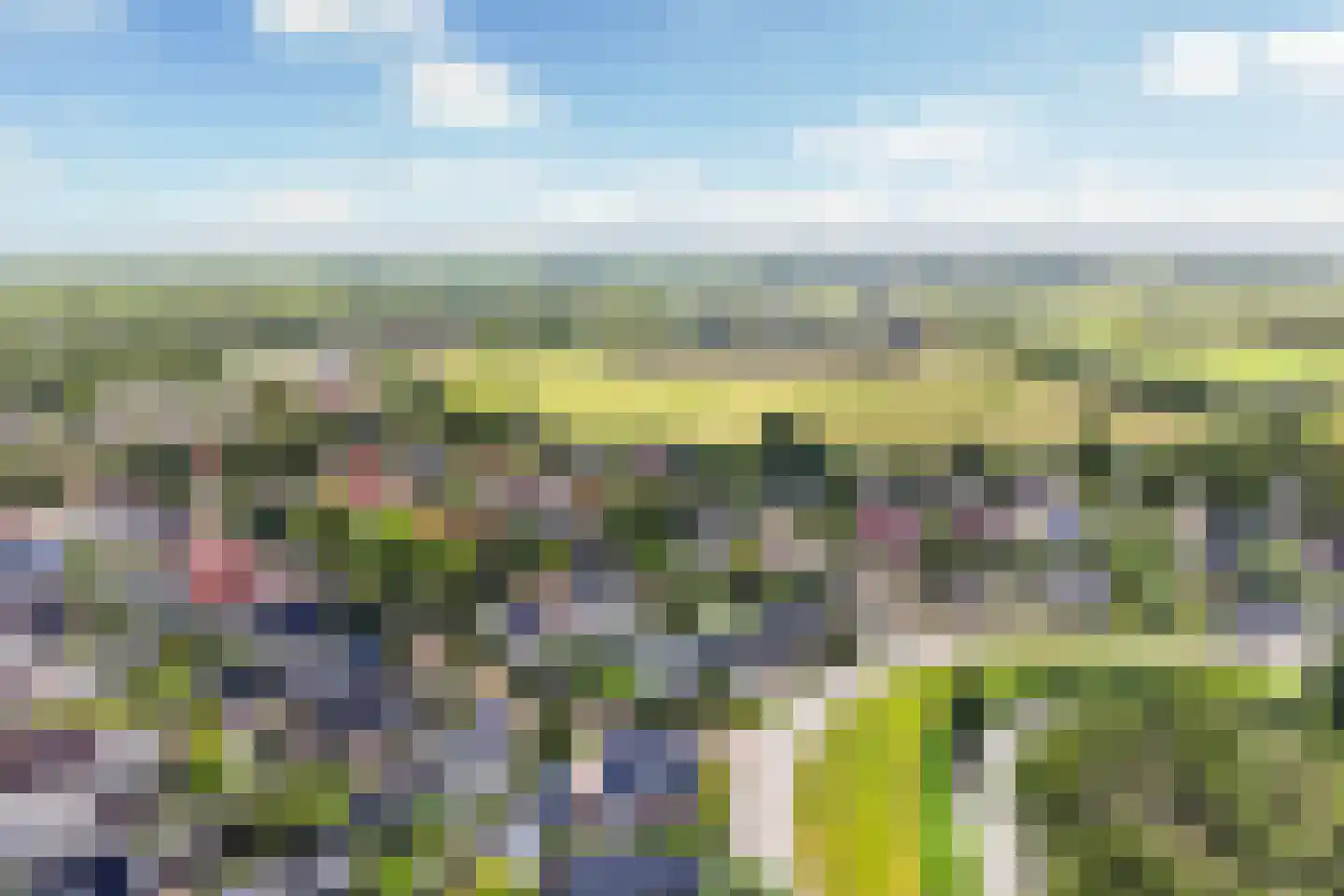 Pijlkruid 3 Buitenpost thumbnail 45