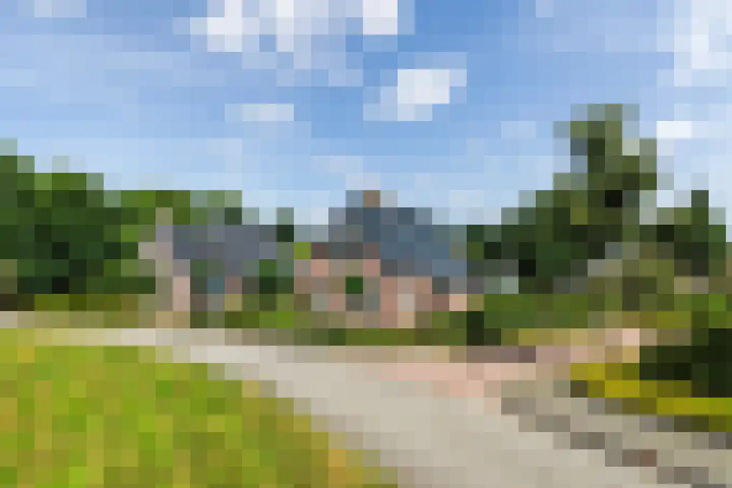 Pijlkruid 3 Buitenpost thumbnail 5