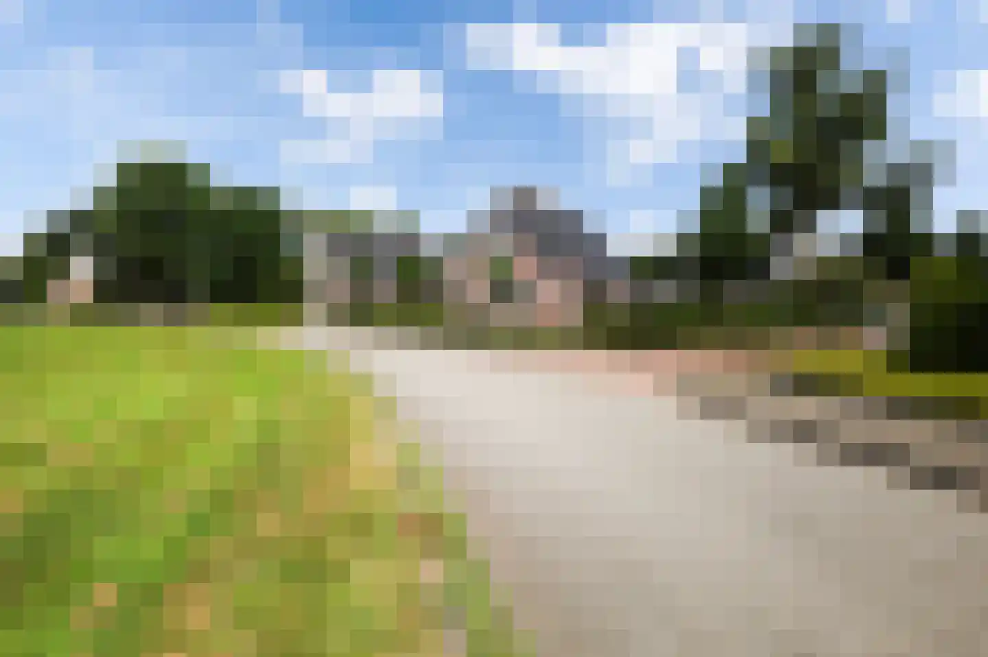 Pijlkruid 3 Buitenpost thumbnail 6