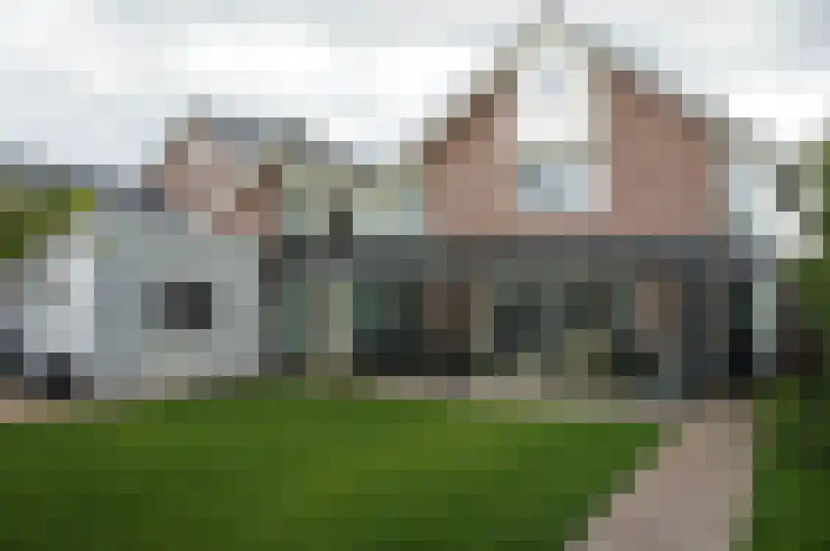 Pijlkruid 3 Woudenberg foto 3
