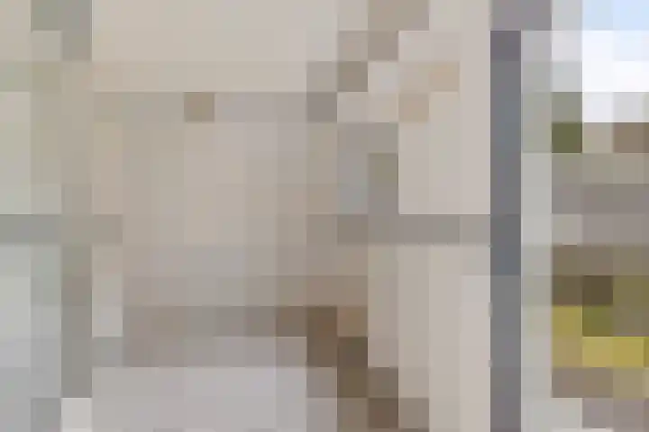 Pijlkruid 3 Zuidhorn thumbnail 11