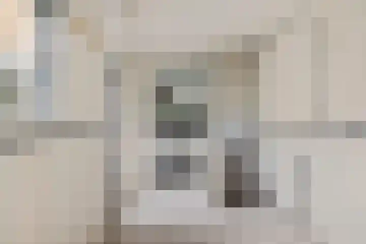 Pijlkruid 3 Zuidhorn thumbnail 12