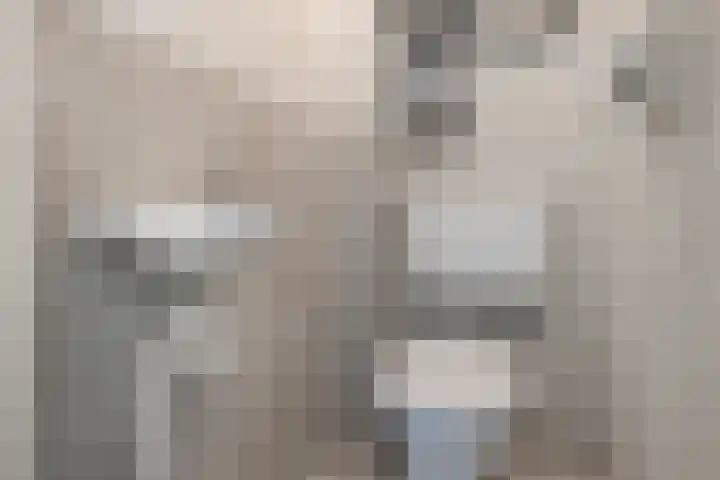 Pijlkruid 3 Zuidhorn thumbnail 13