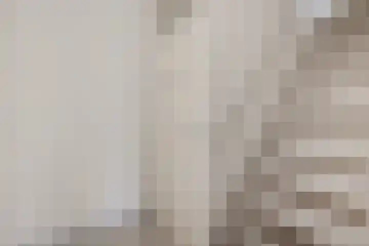 Pijlkruid 3 Zuidhorn thumbnail 14