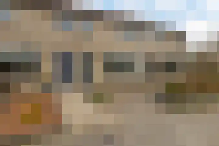 Pijlkruid 3 Zuidhorn foto 2